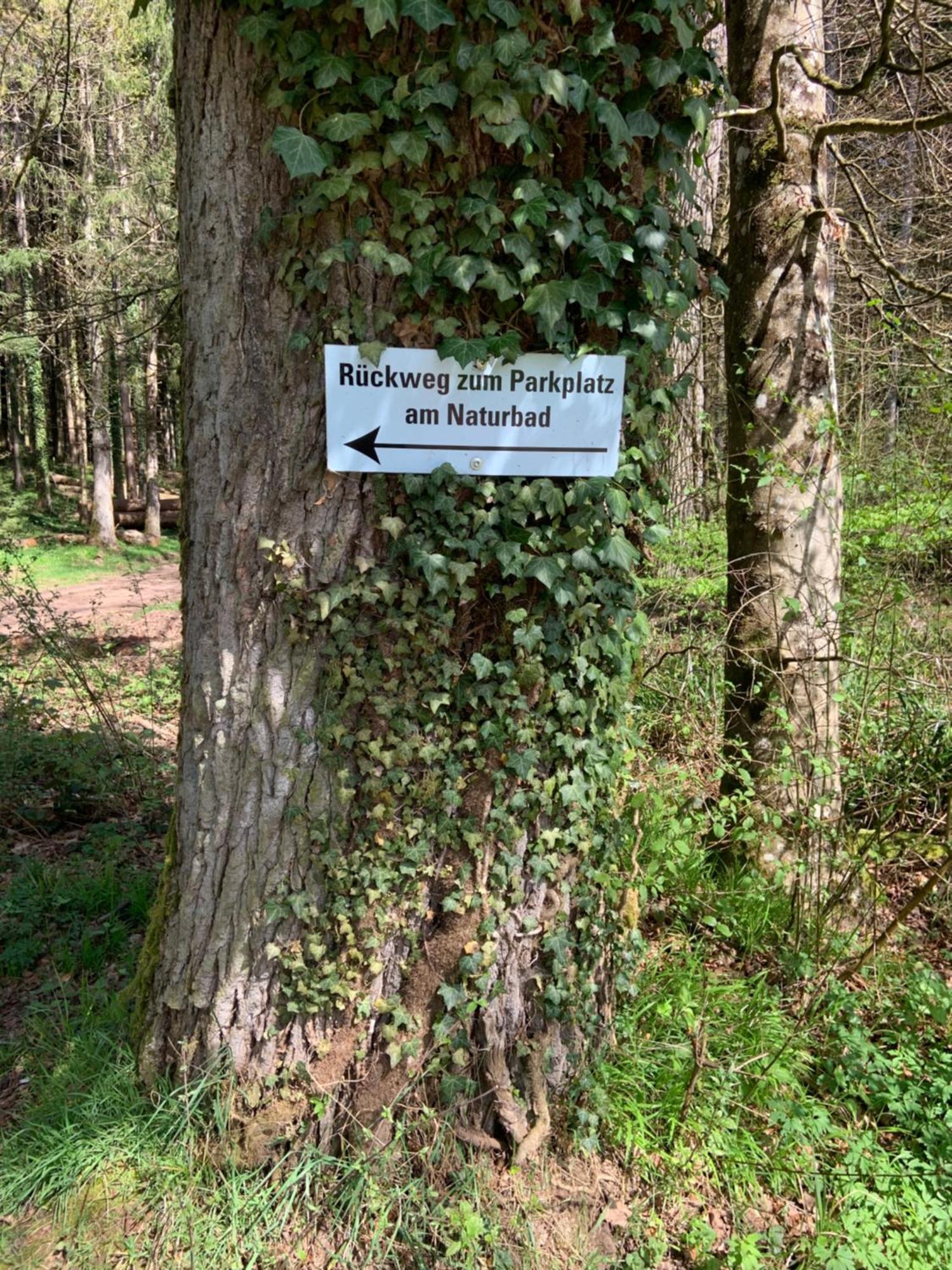 Appartement Sulzbachtal In Lahr, Naehe Europapark, Naehe Rulantica Lahr  Buitenkant foto