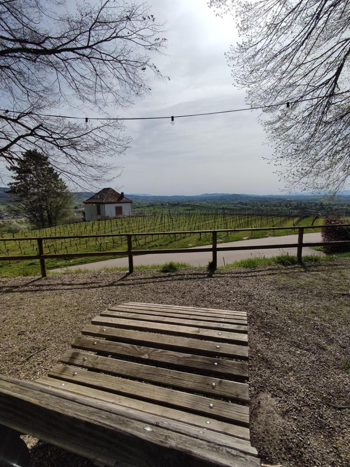 Appartement Sulzbachtal In Lahr, Naehe Europapark, Naehe Rulantica Lahr  Buitenkant foto
